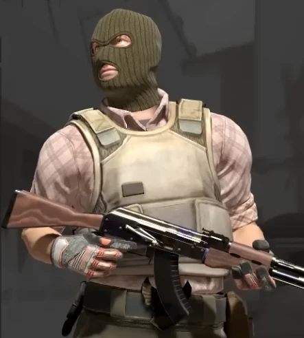 Counter Strike 2 server plan L