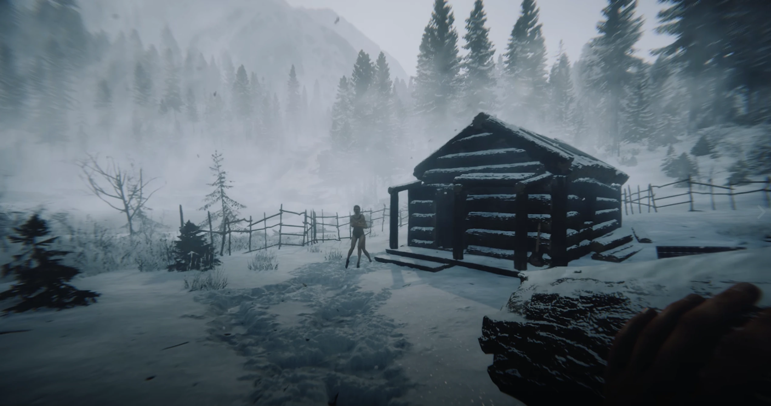 Sons of the Forest coastal camp